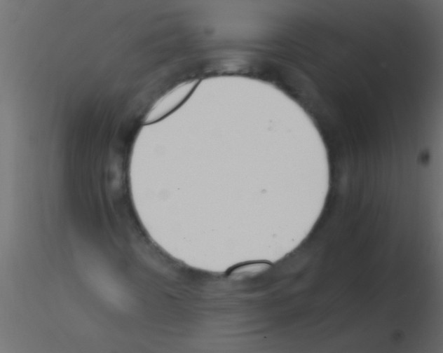 X0000115841442200912242007