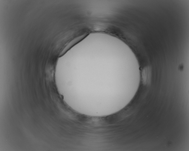 X0000115841443200912242007