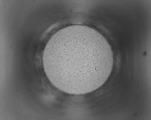 X0000115841446200912242007