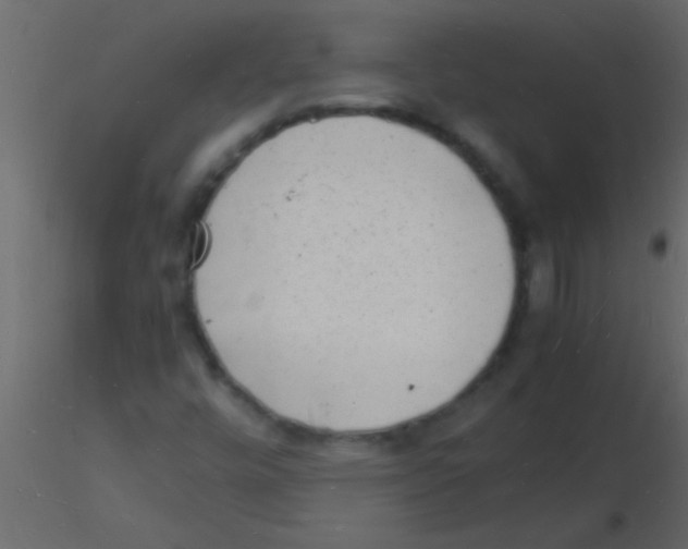 X0000115841448200912242007