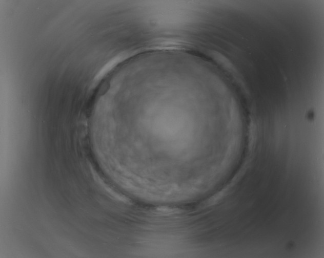 X0000115841449200912242007