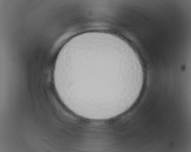 X0000115841451200912242007