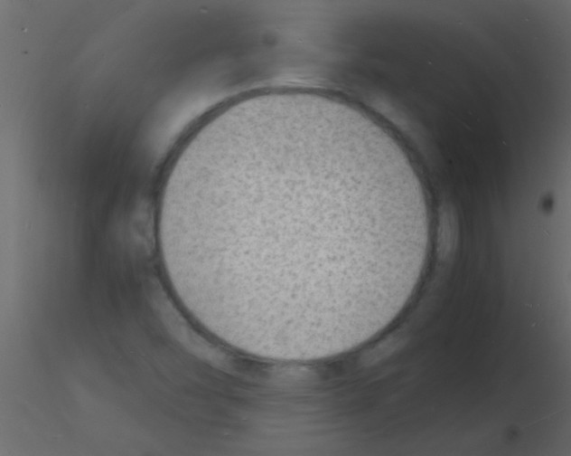 X0000115841454200912242007