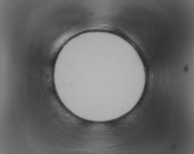 X0000115841455200912242007