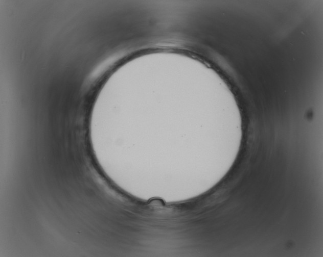 X0000115841456200912242007