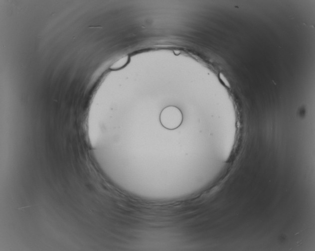 X0000115841457200912242007