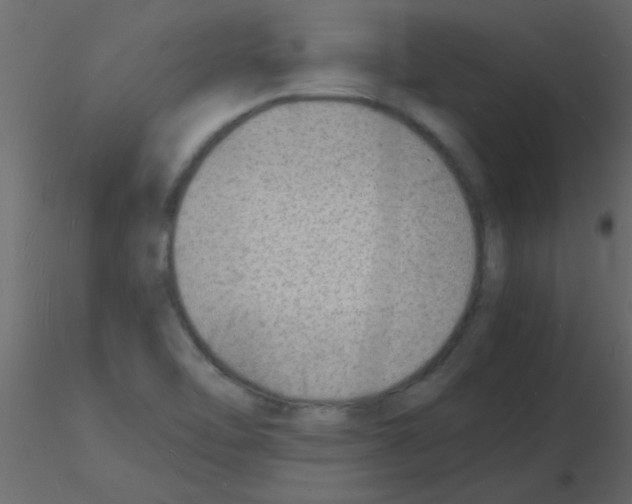 X0000115841462200912242007