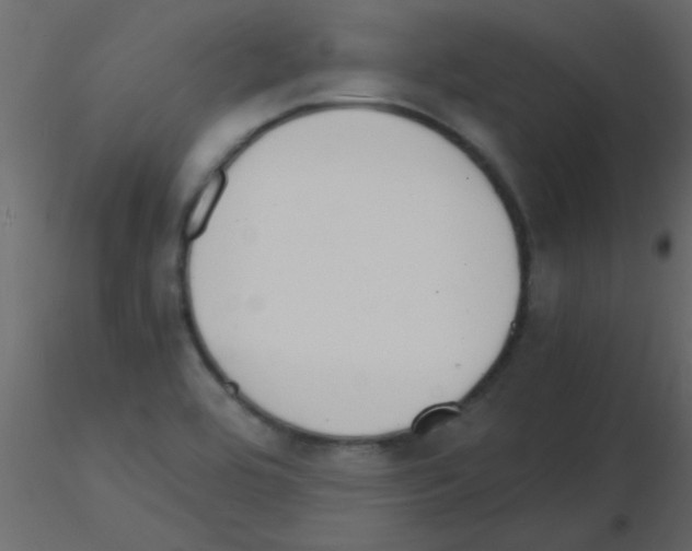 X0000115841464200912242006