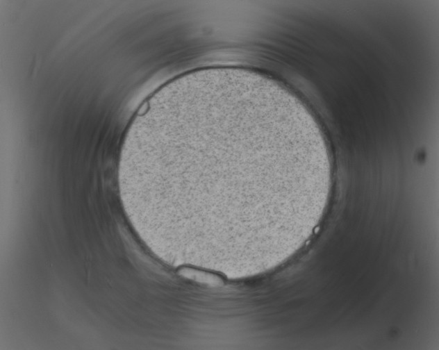 X0000115841465200912242006