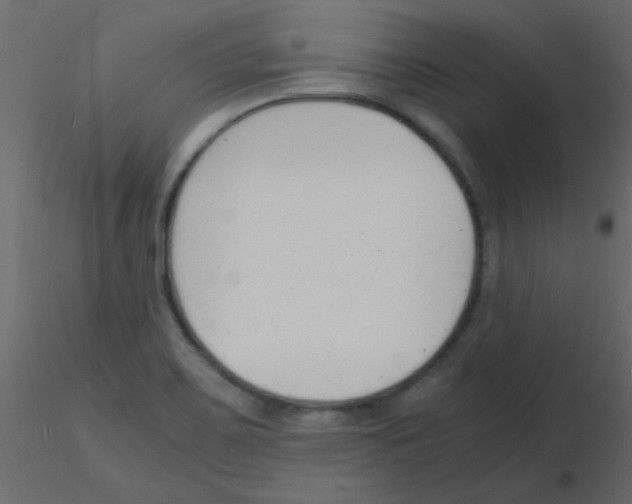 X0000115841467200912242006