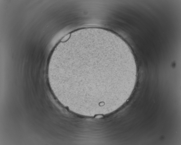 X0000115841469200912242006