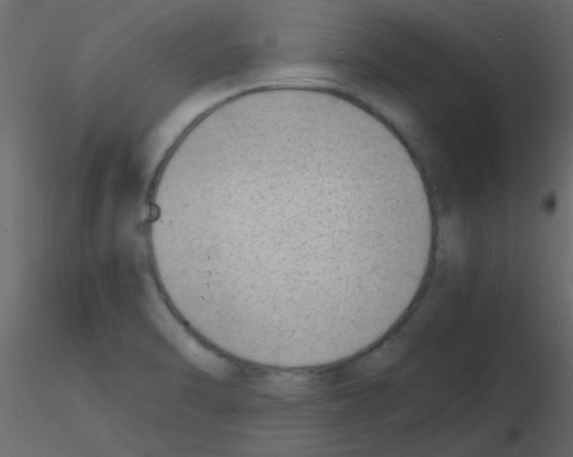 X0000115841470200912242006