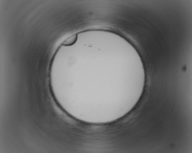 X0000115841471200912242006