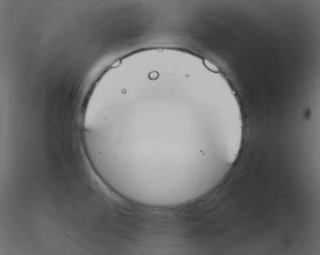 X0000115841472200912242006