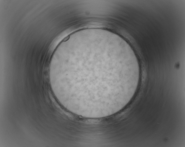 X0000115841473200912242006