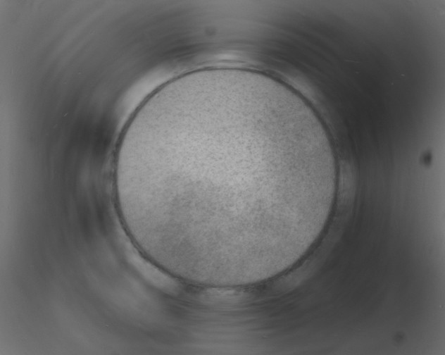 X0000115841474200912242006