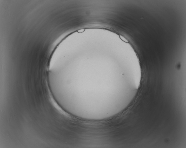 X0000115841476200912242006