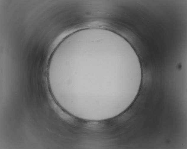 X0000115841478200912242006