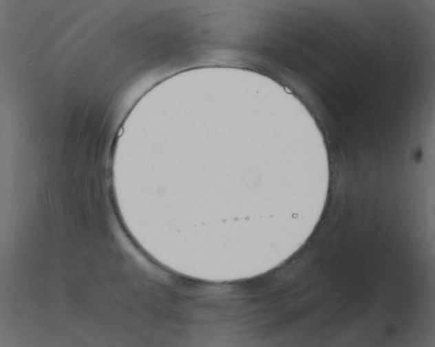 X0000115841479200912242006