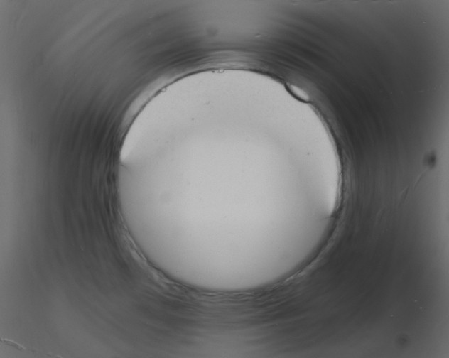 X0000115841481200912242006