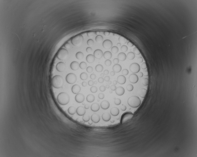 X0000115841483200912242006