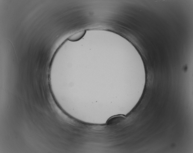 X0000115841484200912242006