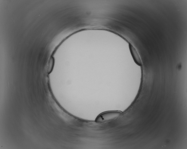 X0000115841485200912242006