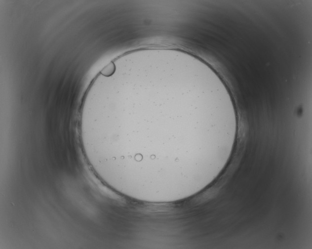 X0000115841486200912242006