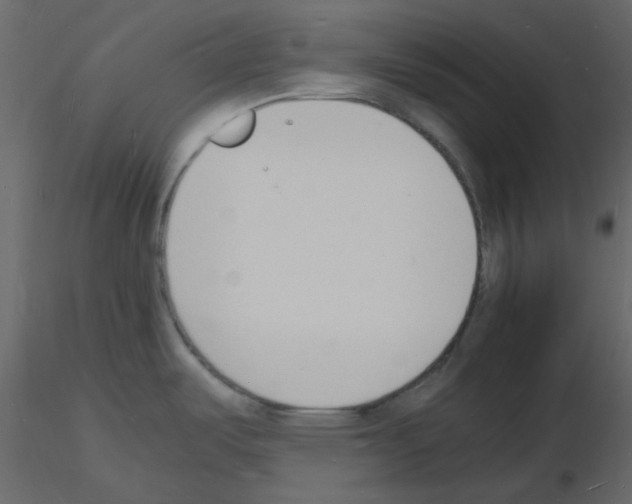 X0000115841487200912242006