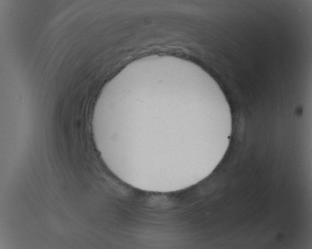 X0000115841489200912242006