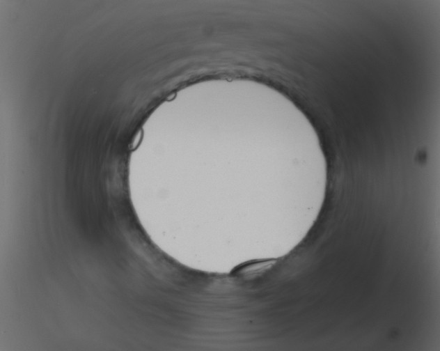 X0000115841490200912242006