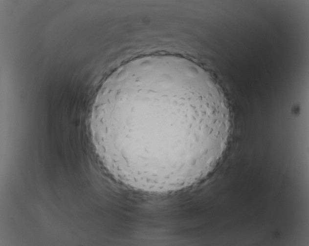 X0000115841491200912242006