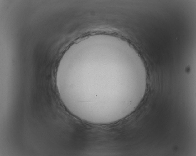 X0000115841493200912242006