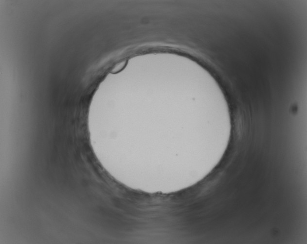 X0000115841494200912242006