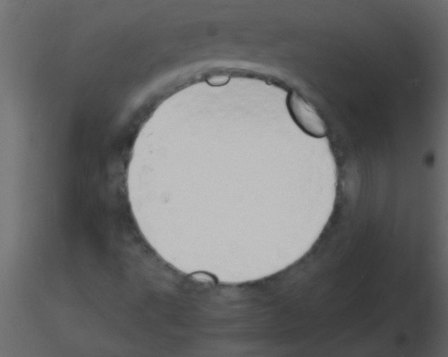 X0000115841495200912242006