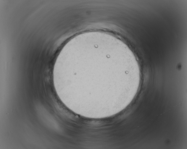 X0000115841497200912242006