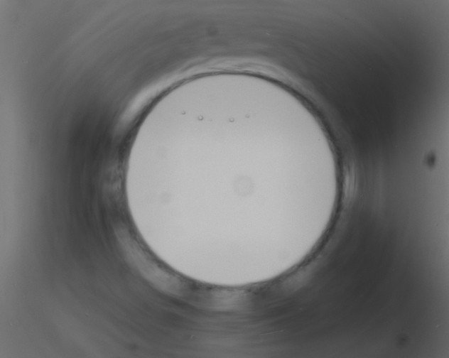 X0000115841498200912242006