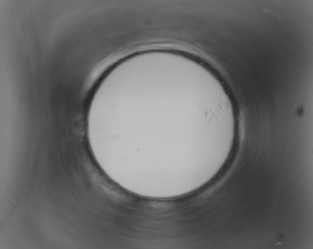 X0000115841501200912242006