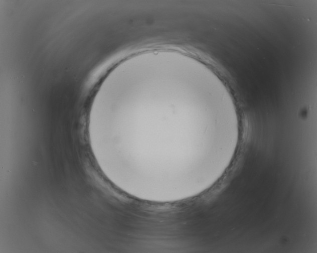 X0000115841502200912242006