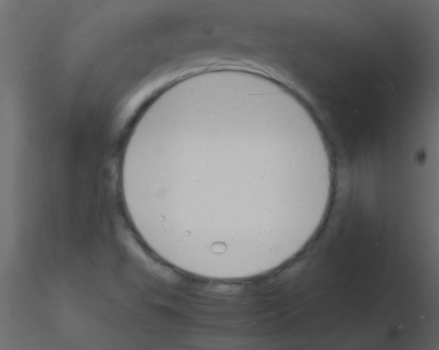 X0000115841503200912242006