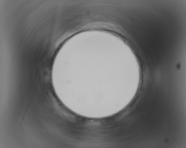 X0000115841505200912242006