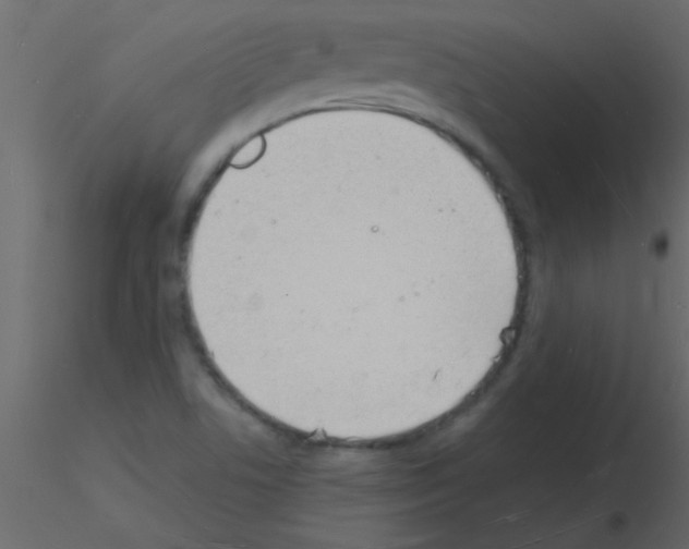 X0000115841506200912242006