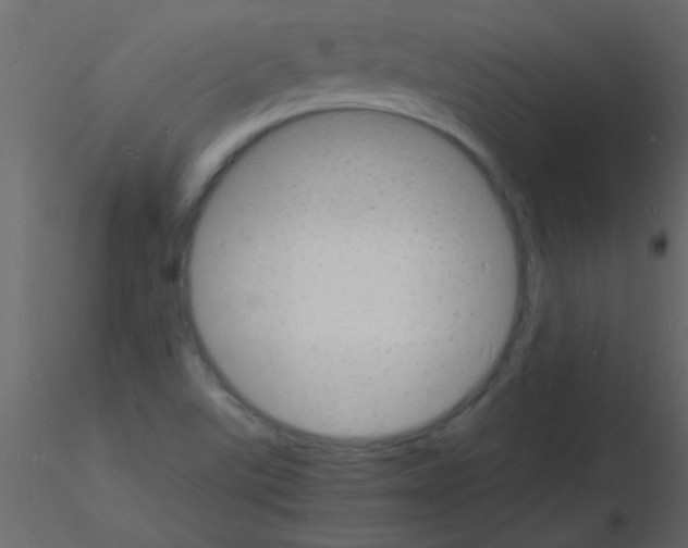 X0000115841507200912242006