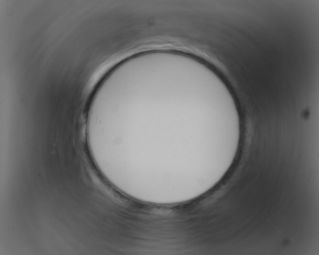 X0000115841509200912242006