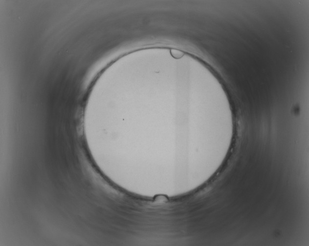 X0000115841510200912242006