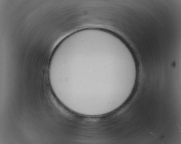 X0000115841513200912242006