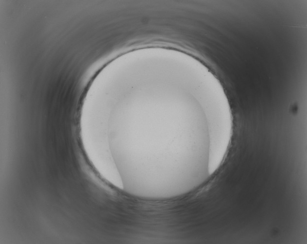 X0000115841518200912242006