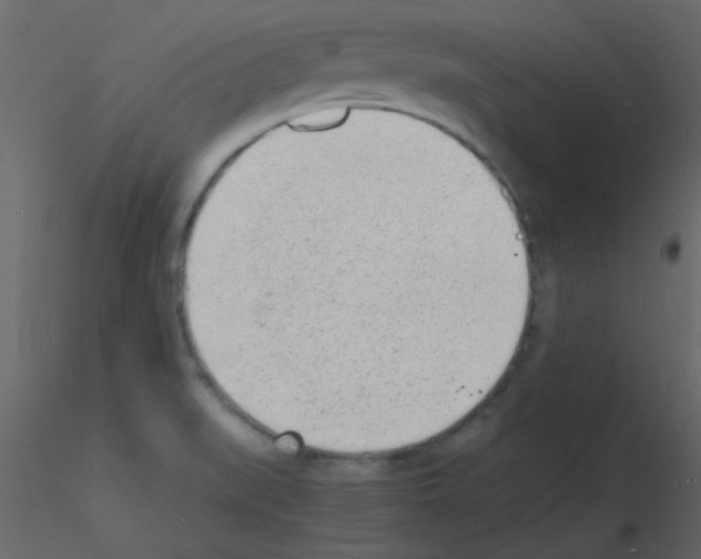 X0000115841519200912242006