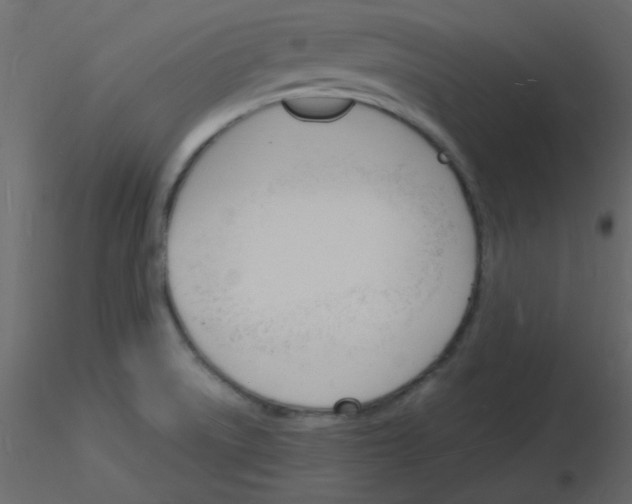 X0000115841522200912242006