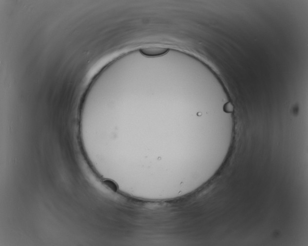 X0000115841523200912242006